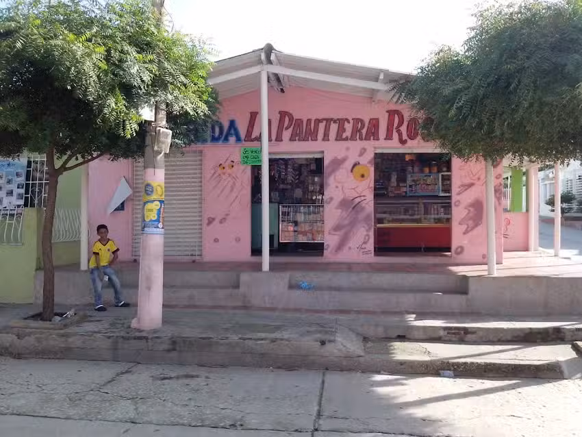 CASA DEL MOHICANO DORADO