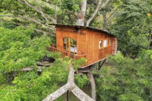 Casa en el &aacute;rbol &ndash; Dosis Verde &ndash; Tobia
