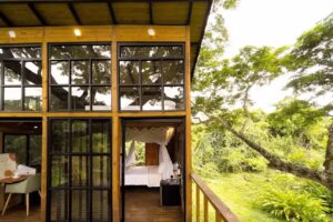 Casa en el &aacute;rbol &ndash; Dosis Verde &ndash; &Uacute;tica