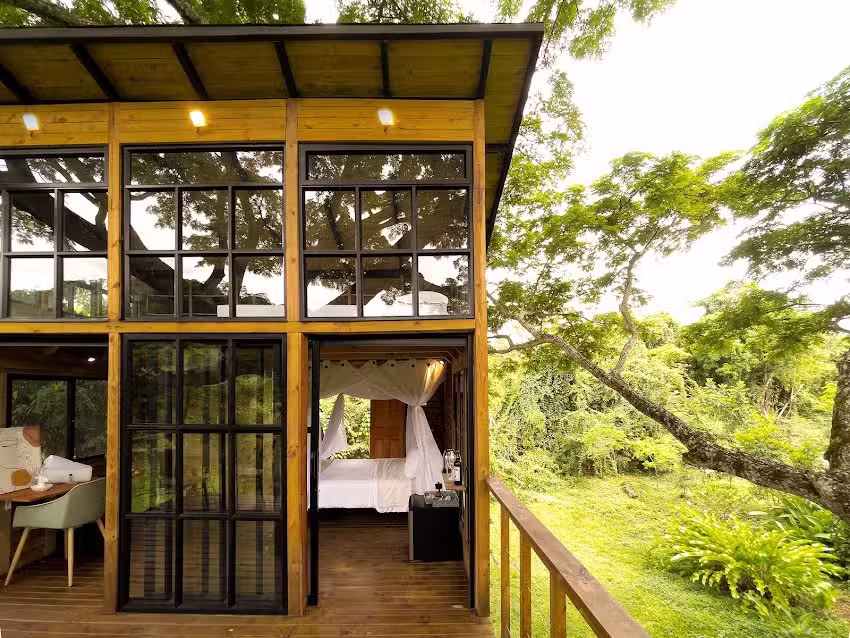 Casa en el &aacute;rbol &ndash; Dosis Verde &ndash; &Uacute;tica