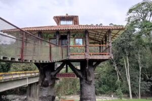 CASA EN EL &Aacute;RBOL HOTEL