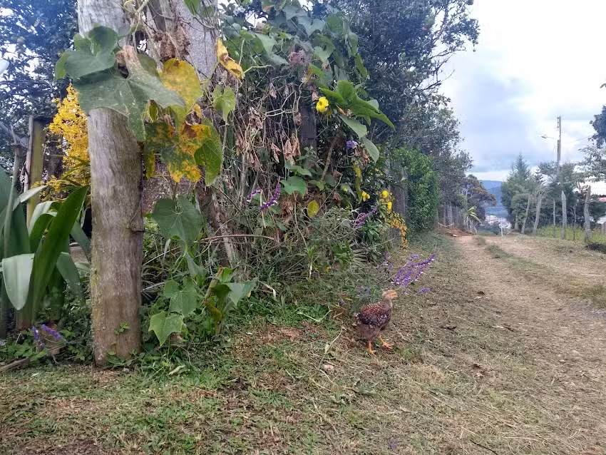 Casa Familia Rojas Paez