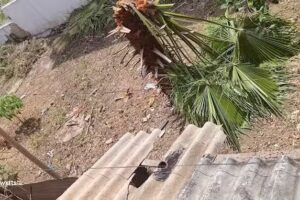 Casa finca los 2 potrillos