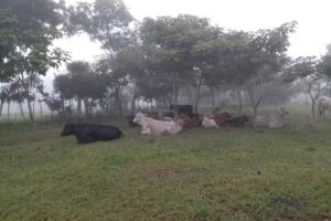 Casa finca Mar&iacute;a jose