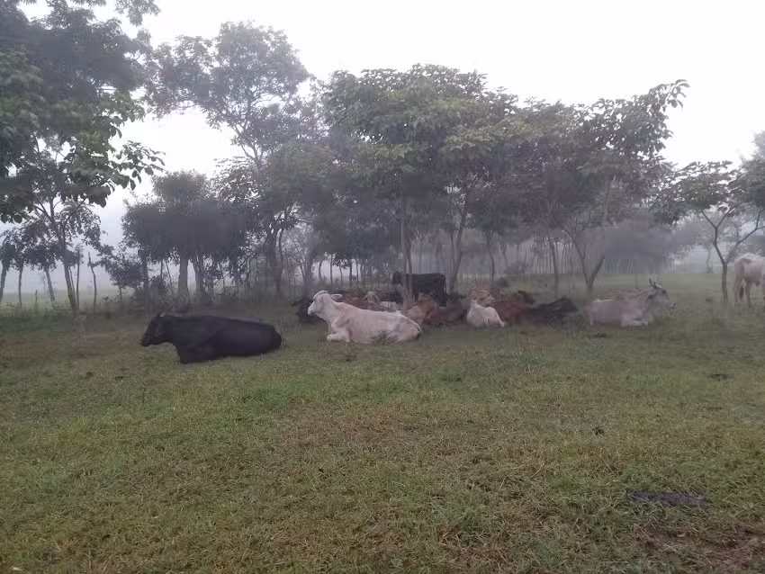 Casa finca Mar&iacute;a jose