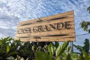 Casa Grande Coffee House