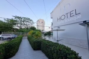 Casa Hotel Pati&ntilde;o