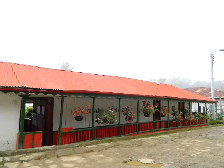 Casa L&oacute;pez Museo, Palomar Anzo&aacute;tegui