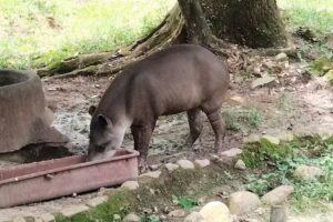 Casa Ocarros Villavicencio