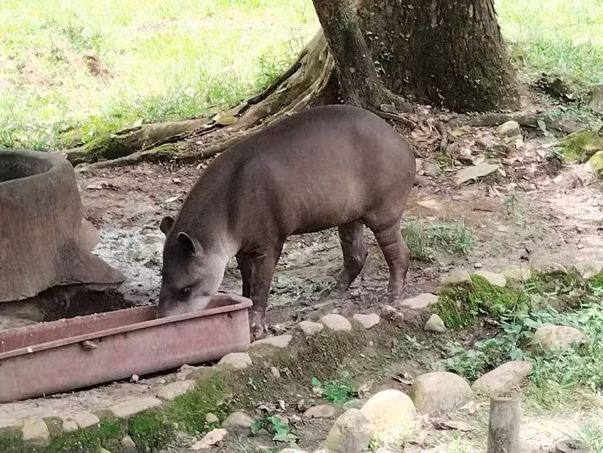 Casa Ocarros Villavicencio