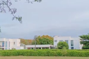 Casa Quinta Flower Melgar