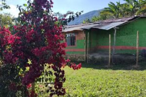 Casa Rosita Guerrero