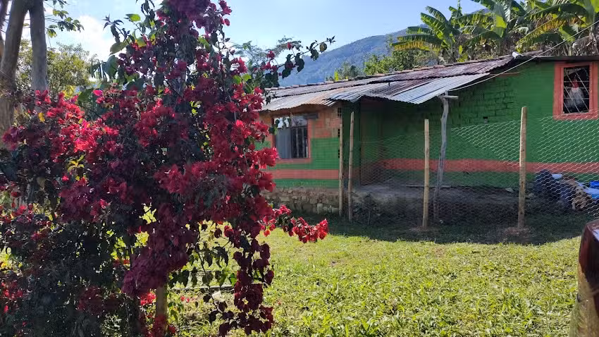 Casa Rosita Guerrero