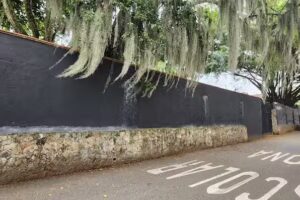 Casa Tropical Poblano