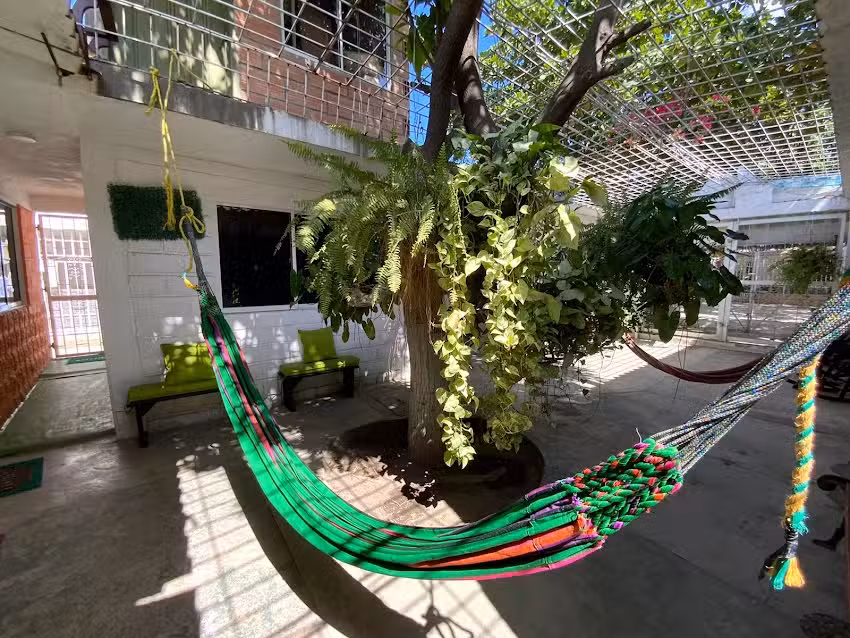 Casa Universitaria El Trebol