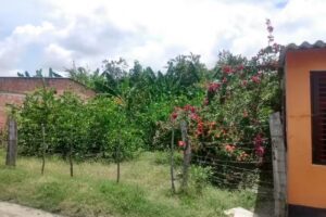 Casa vacacional Guamo