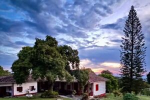 Casa Vieja Mountain Lodge | Hotel Caba&ntilde;a Buitrera Palmira |Avistamiento de aves | Terapias de Bienestar