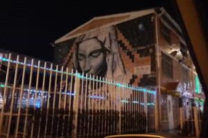 Casas Residenciales Almendros