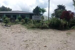 Cascadas De San Pedro