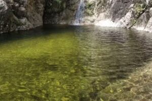 Cascado de algeciras