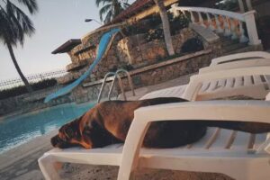 Catalina Del Mar Beach House