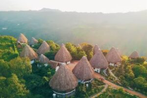 Ceiba by Masaya Collection