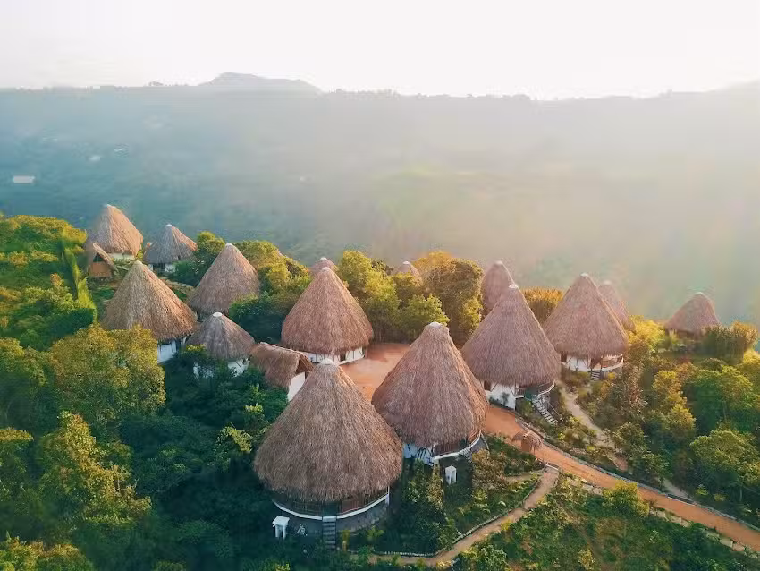 Ceiba by Masaya Collection