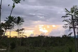 Centro agro-ecotur&iacute;sticos la iraca