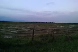 Centro Campestre Y Caba&ntilde;as Halcones & Cisnes