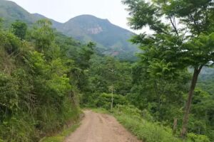 Centro de Acopio, Vereda el ondo, C&eacute;sar