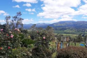 Centro de Investigación y Desarrollo Científico de La Brigada Ambiental