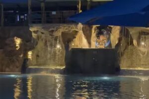 CENTRO ECOTURISTICO BETHEL