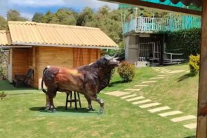 Centro recreacional el paraiso