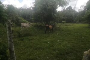 Centro Recreacional y Vacacional Chilvi Comfamiliar de Nariño