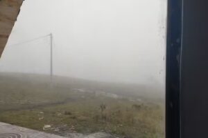 Chalet Amner y los 6 perros