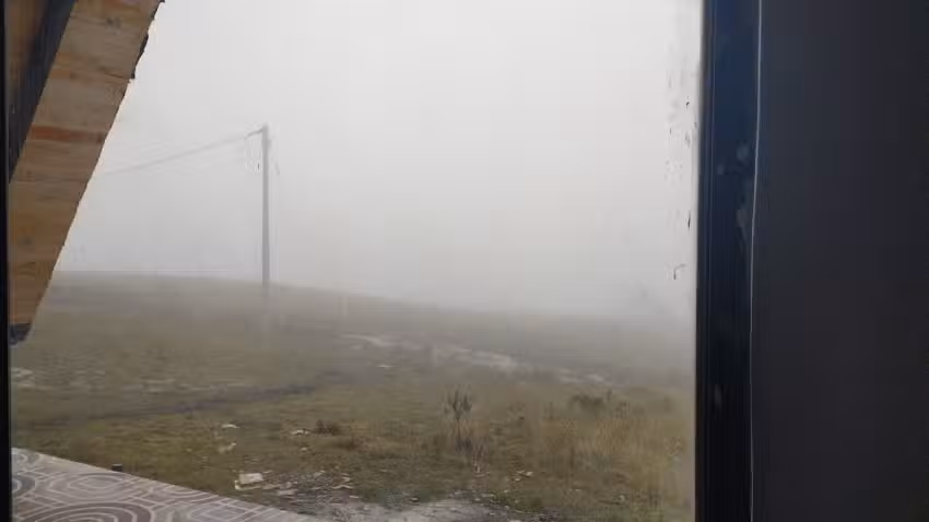 Chalet Amner y los 6 perros