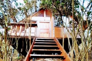 Chalet de la monta&ntilde;a Cota