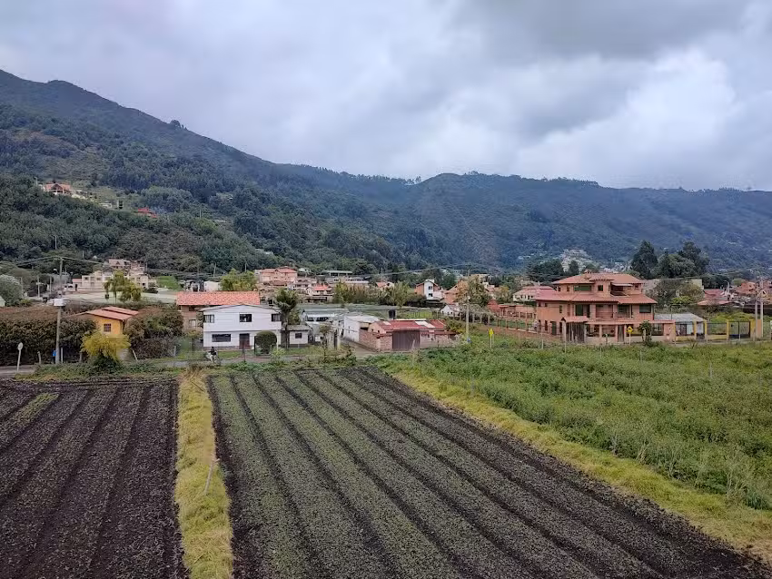CHALET EL DARI&Eacute;N