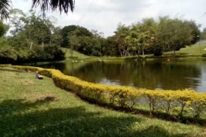 CHALET VILLA ALEJANDRA