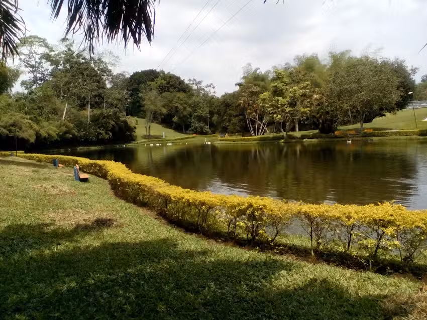 CHALET VILLA ALEJANDRA