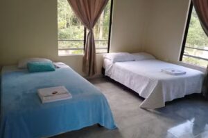 Chavela Hostal y Eventos