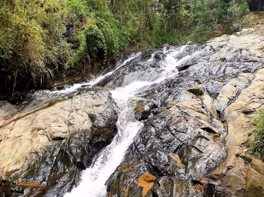 Chorro Clar&iacute;n &ndash; Parque Arv&iacute;