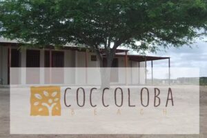 Coccoloba Beach Hostel &ndash; La Guajira