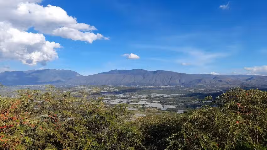 Colina de los Hidalgos