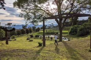 Colinas De Barro Blanco