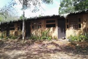 Color de Hormiga Reserva Natural