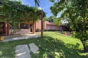 Color Hostel Palomino