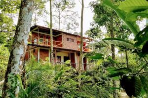 Colores de la Sierra