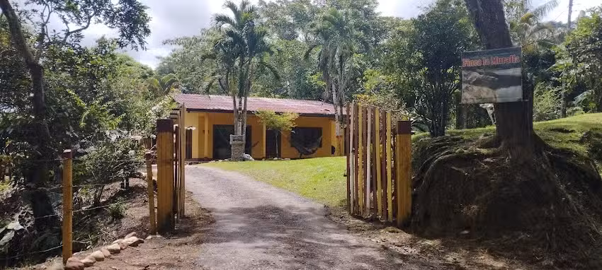 Comercio Insuspencion