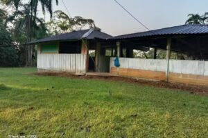 Comunidad Cof&aacute;n, El DIVISO